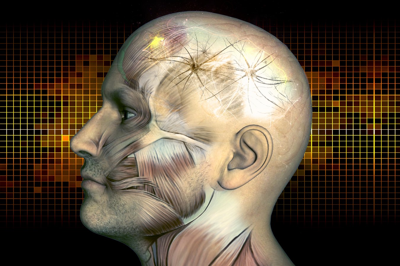 No momento, você está visualizando Descubra o Impacto da Neurocopywriting: Como Palavras que Ativam o Cérebro Podem Multiplicar Suas Conversões Instantaneamente