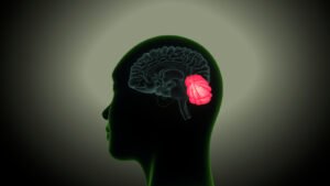 Leia mais sobre o artigo Explore o Poder da Inteligência Artificial Emocional para Humanizar Suas Campanhas e Disparar Conversões Instantaneamente