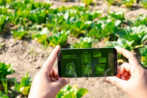 Leia mais sobre o artigo O Futuro do Growth em 2025: Reduzindo o Atrito entre Humanos e Máquinas para Crescimento Sustentável